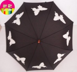 廣告?zhèn)? style='vertical-align:middle;'/> </a>  </div> <table class='picscroll'> <tr> <td width='5%' class='scrollarrow toleft' title='向左'>&nbsp; </td> <td width='90%'> <div   id=
