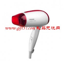 奔騰電吹風PH6803